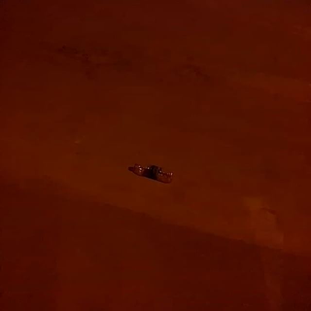 Saudi tumbleweed
