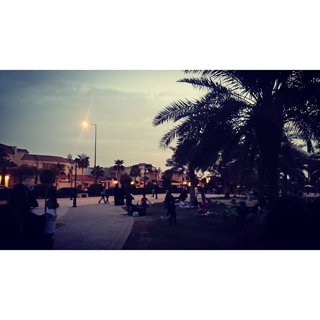 Enjoying a perfect evening in the park